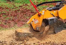 Best Lawn Renovation and Restoration  in Lugoff, SC